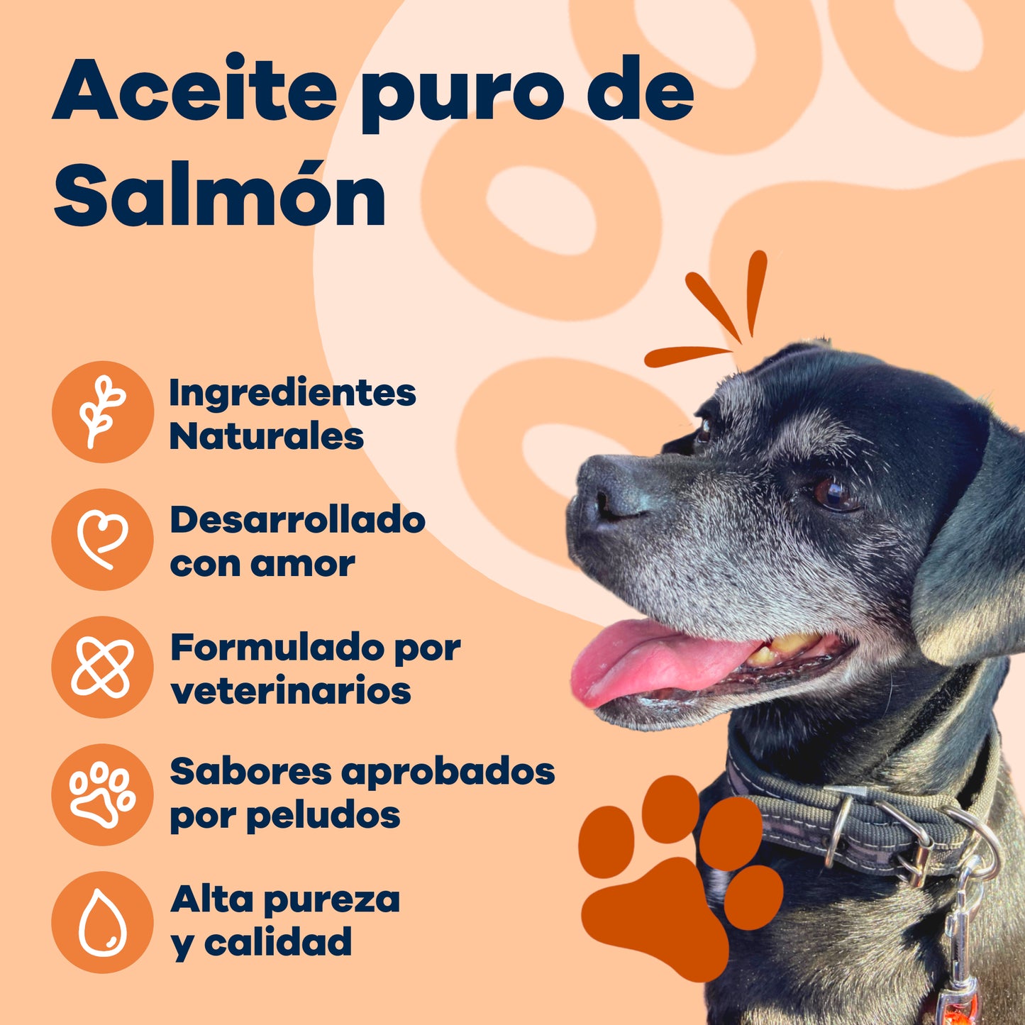Aceite de Salmón Puro